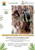 suoni e colori tra le fronde uccelli-12-4-2024.jpg
